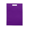 BOLSA TNT 10 UNIDADES