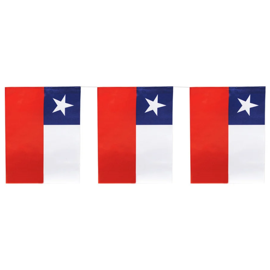 Guirnalda Bandera Chile Papel 10 mts