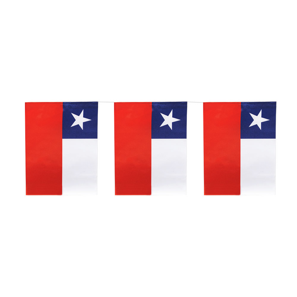 GUIRNALDA BANDERA CHILE 10 MTS