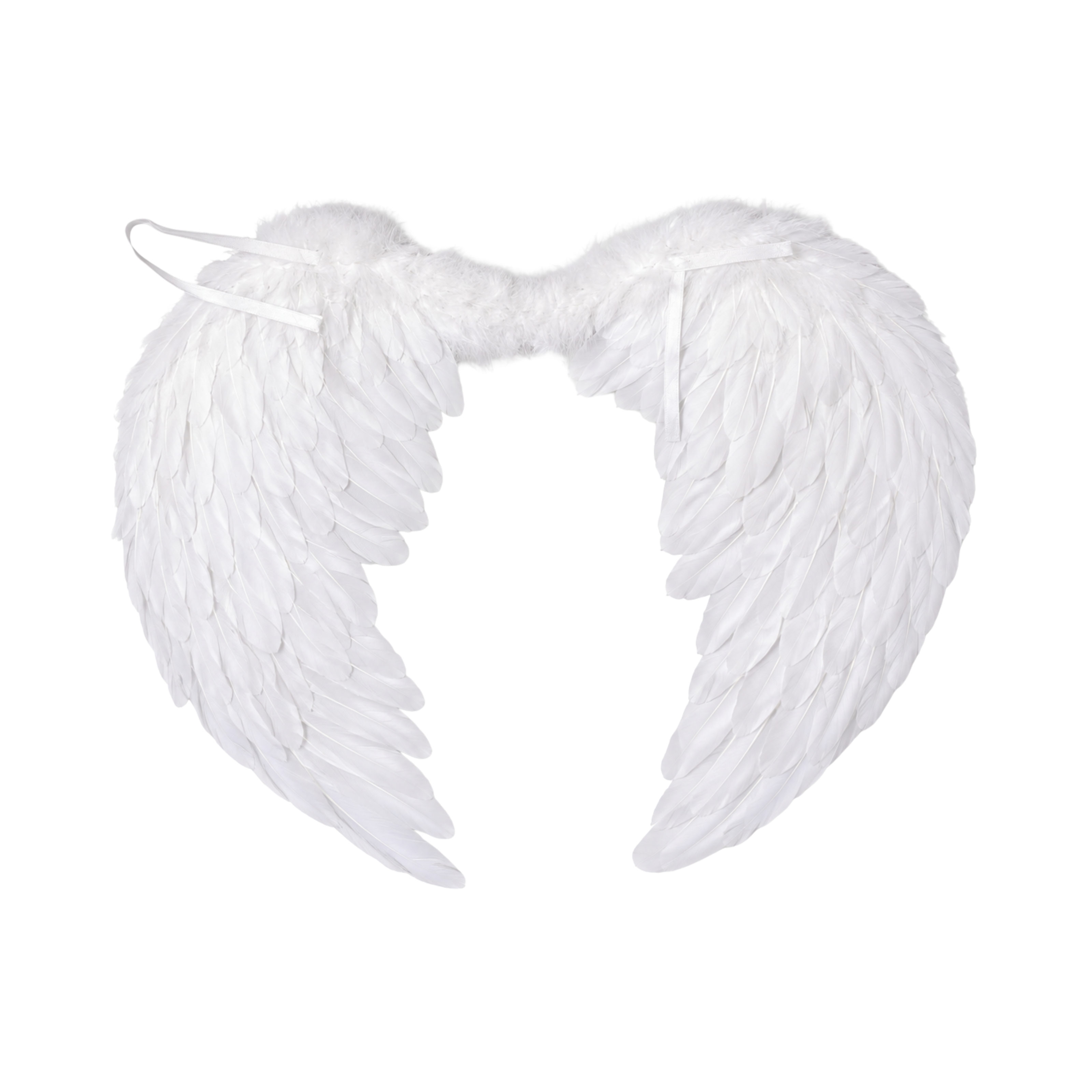 Alas de Plumas Blancas