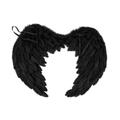 Alas de Plumas Negras