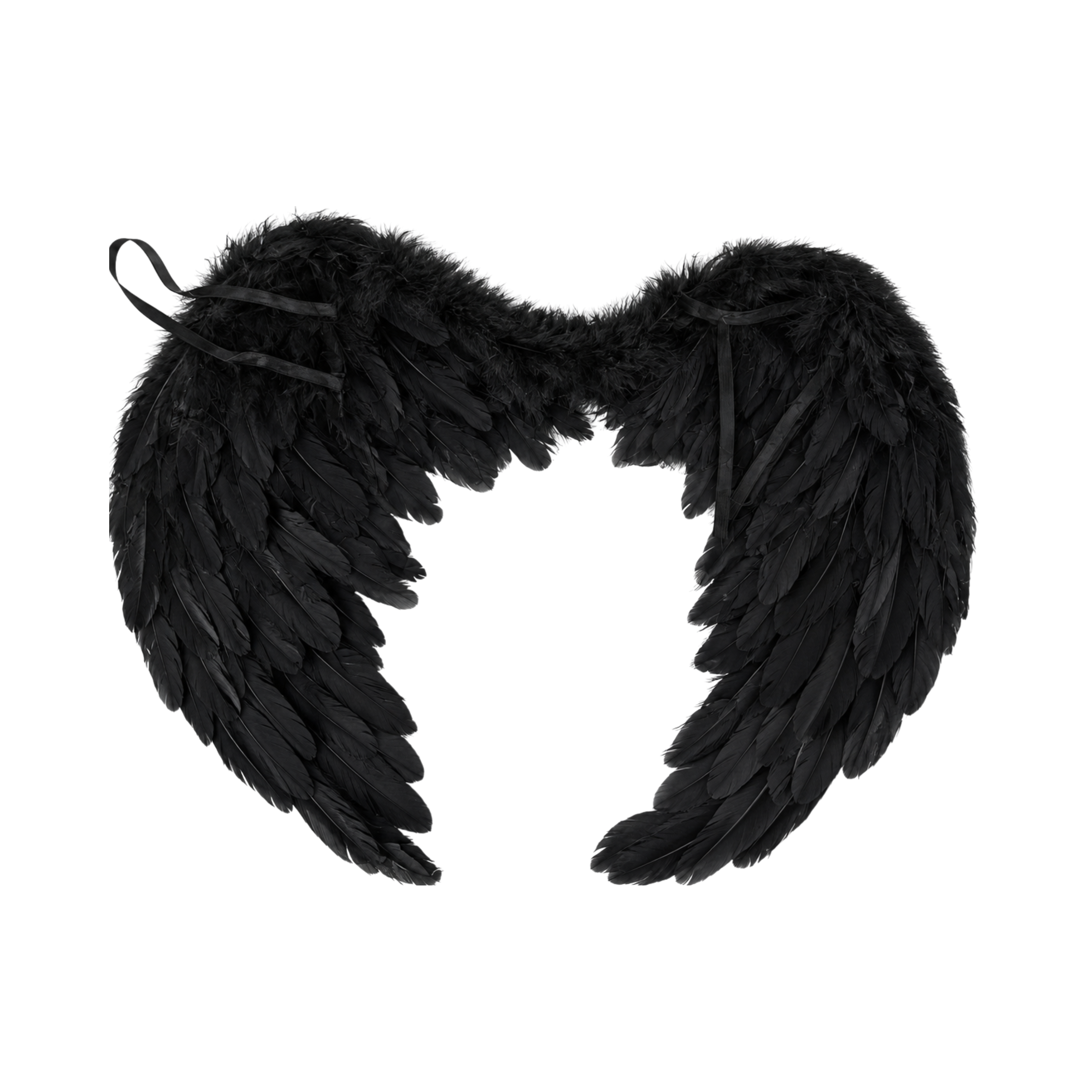 Alas de Plumas Negras
