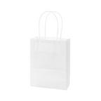 BOLSA DE PAPEL 6 UNIDADES