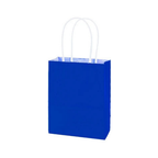 BOLSA DE PAPEL 6 UNIDADES