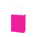 BOLSA DE PAPEL 6 UNIDADES