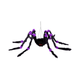 MORADO