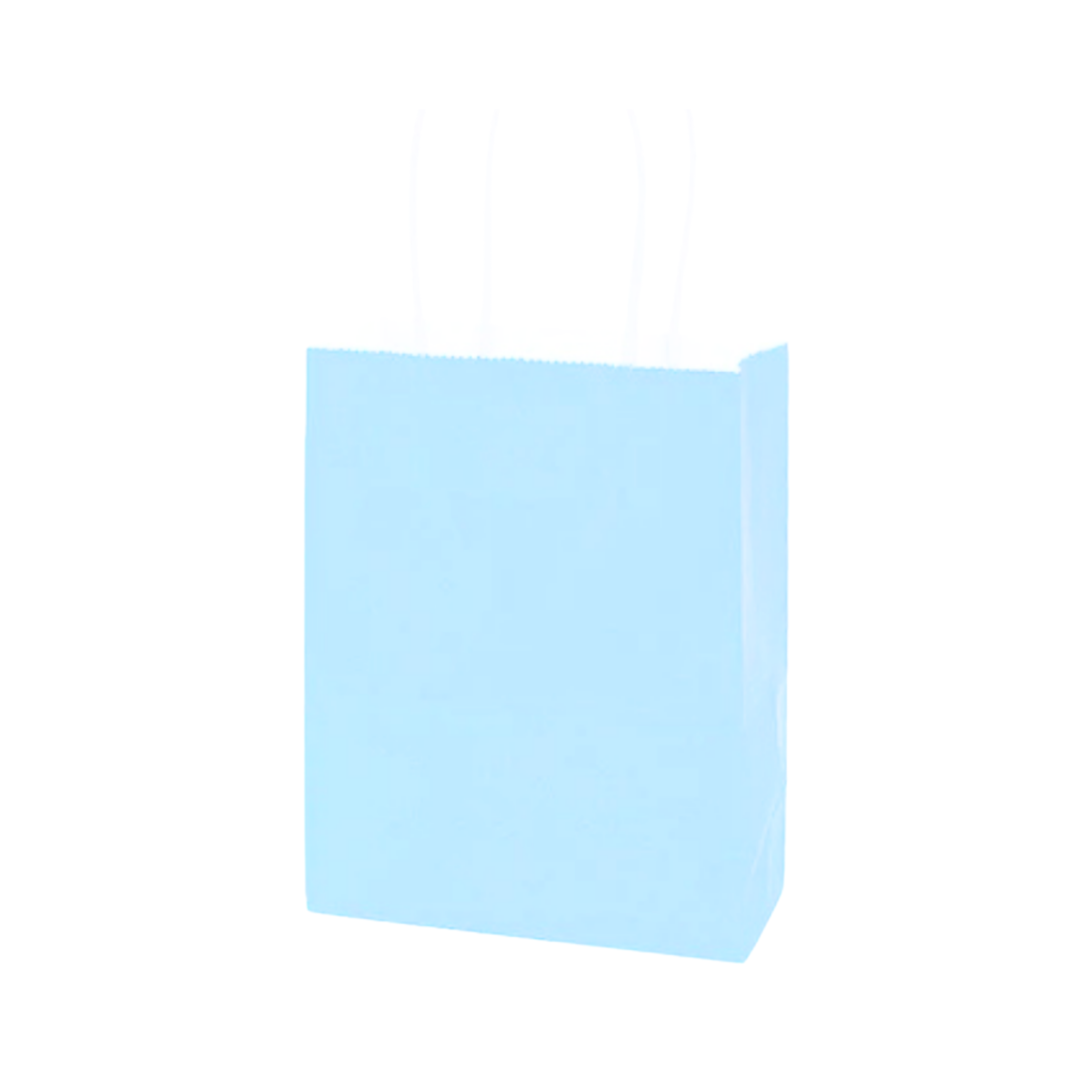 BOLSA DE PAPEL 6 UNIDADES