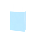 BOLSA DE PAPEL 6 UNIDADES