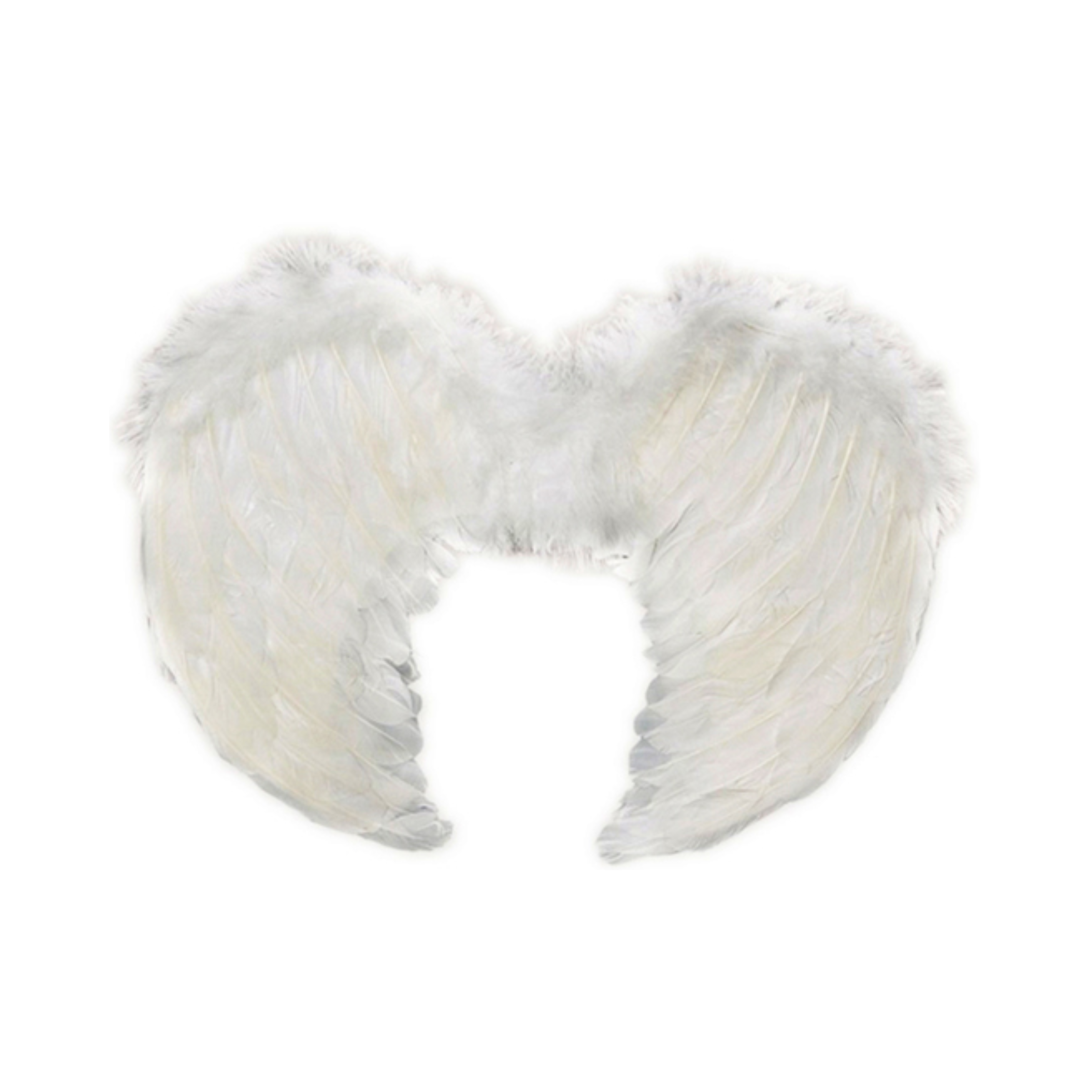 ALAS ANGEL PLUMA BLANCO