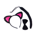 SET GATO NEGRO