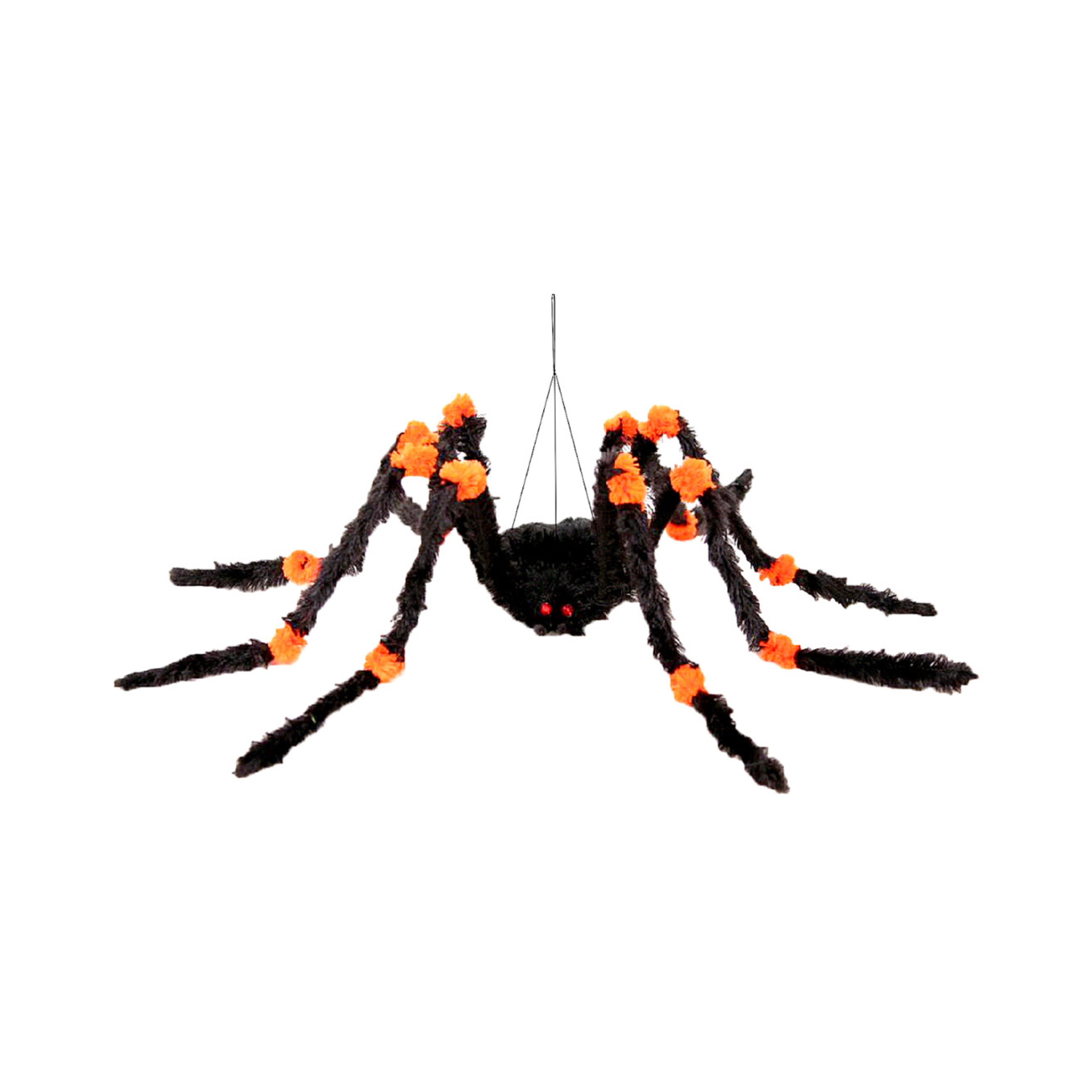 ARAÑA GRANDE
