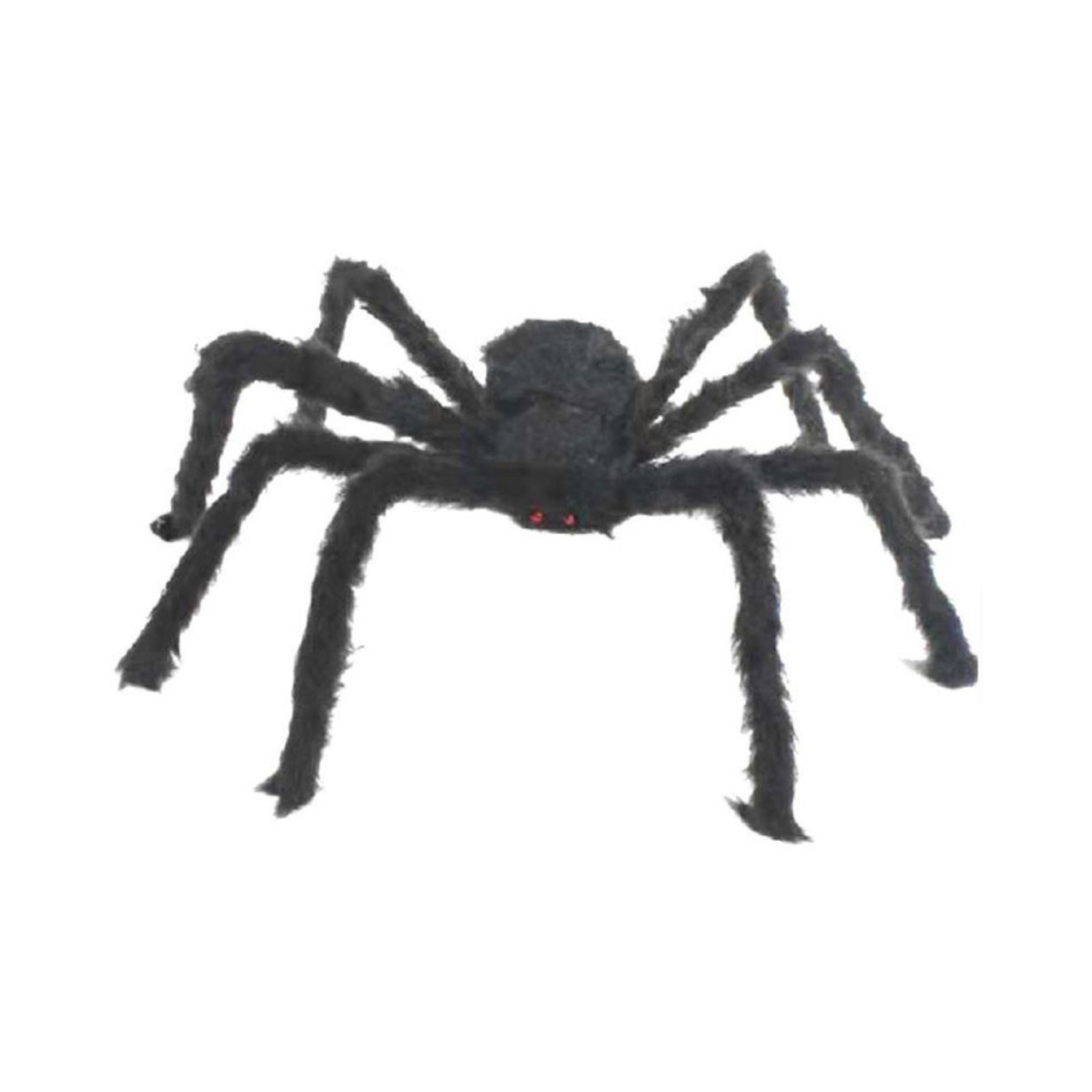 ARAÑA GIGANTE