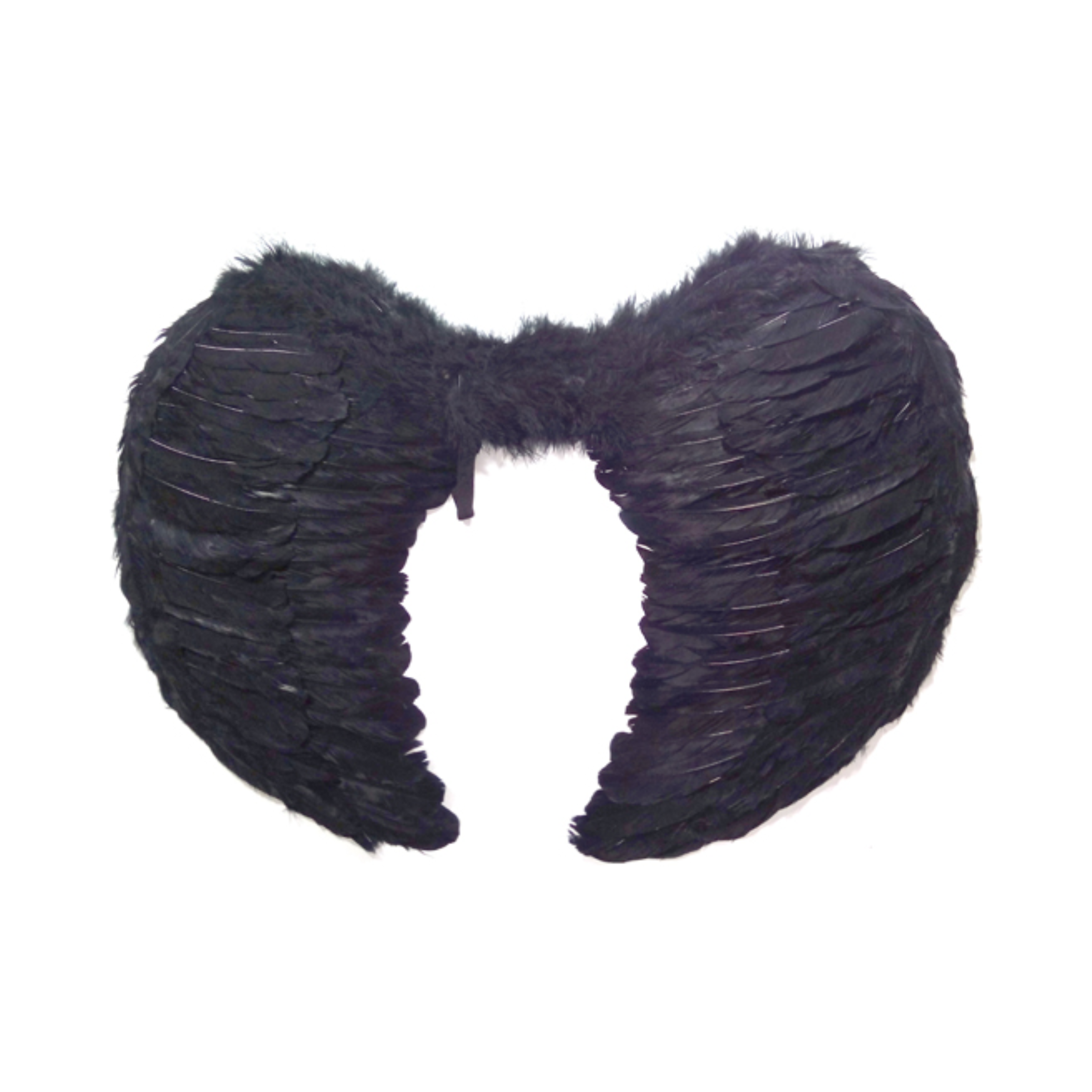 ALAS ANGEL PLUMA NEGRO