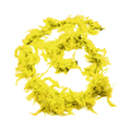 BOA AMARILLA