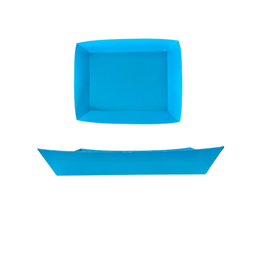 BANDEJA RECTANGULAR COLORES X2