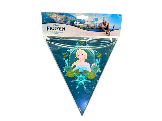 BANDERIN FROZEN 2M